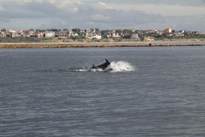 Firthview Cottage Lossiemouth Eksteriør bilde